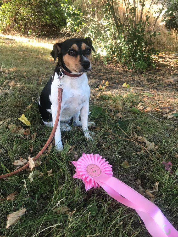 Dolly blei 2 beste Jr, tispe med Ck i Råde 29/7-2018